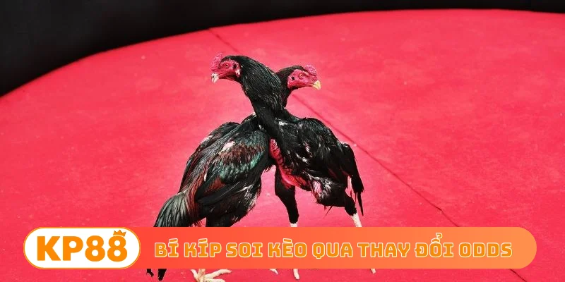 Bí kíp soi kèo qua thay đổi odds