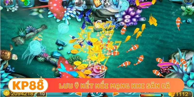 Lưu ý kết nối mạng khi săn cá